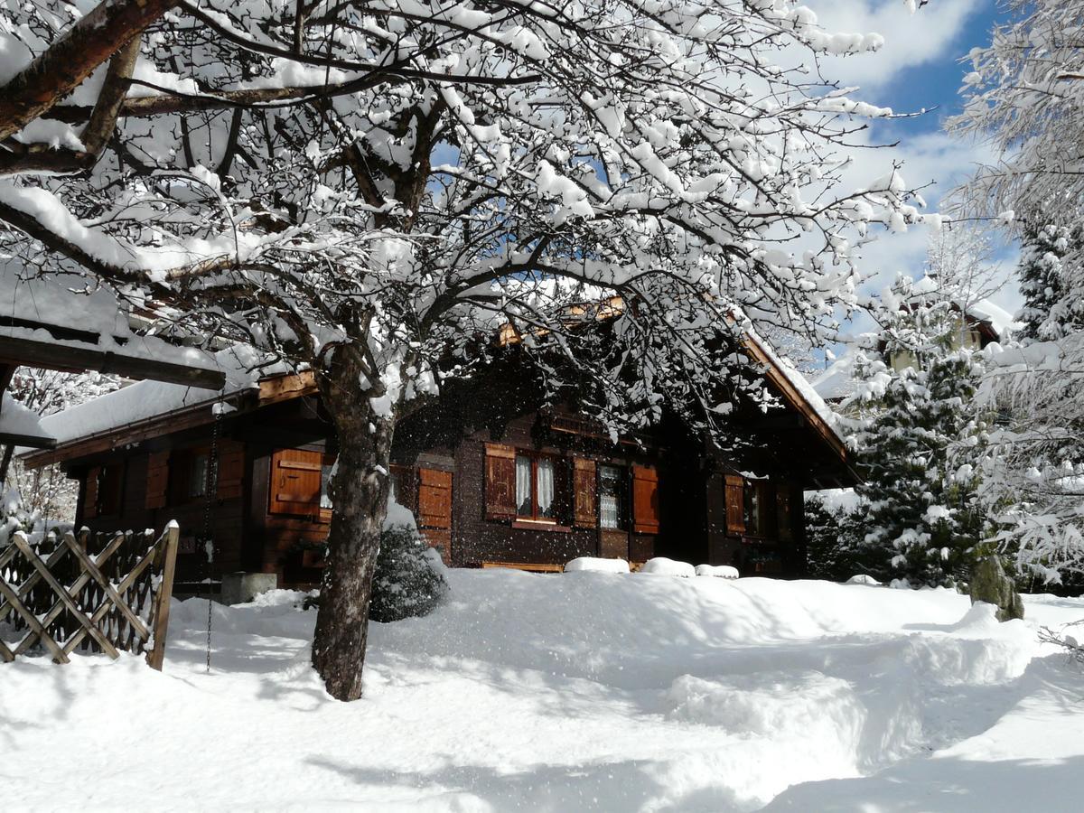 Chalet Des Glaciers Σαμονί Εξωτερικό φωτογραφία