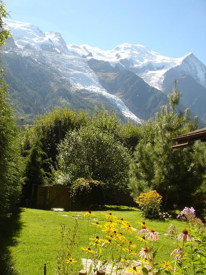 Chalet Des Glaciers Σαμονί Εξωτερικό φωτογραφία